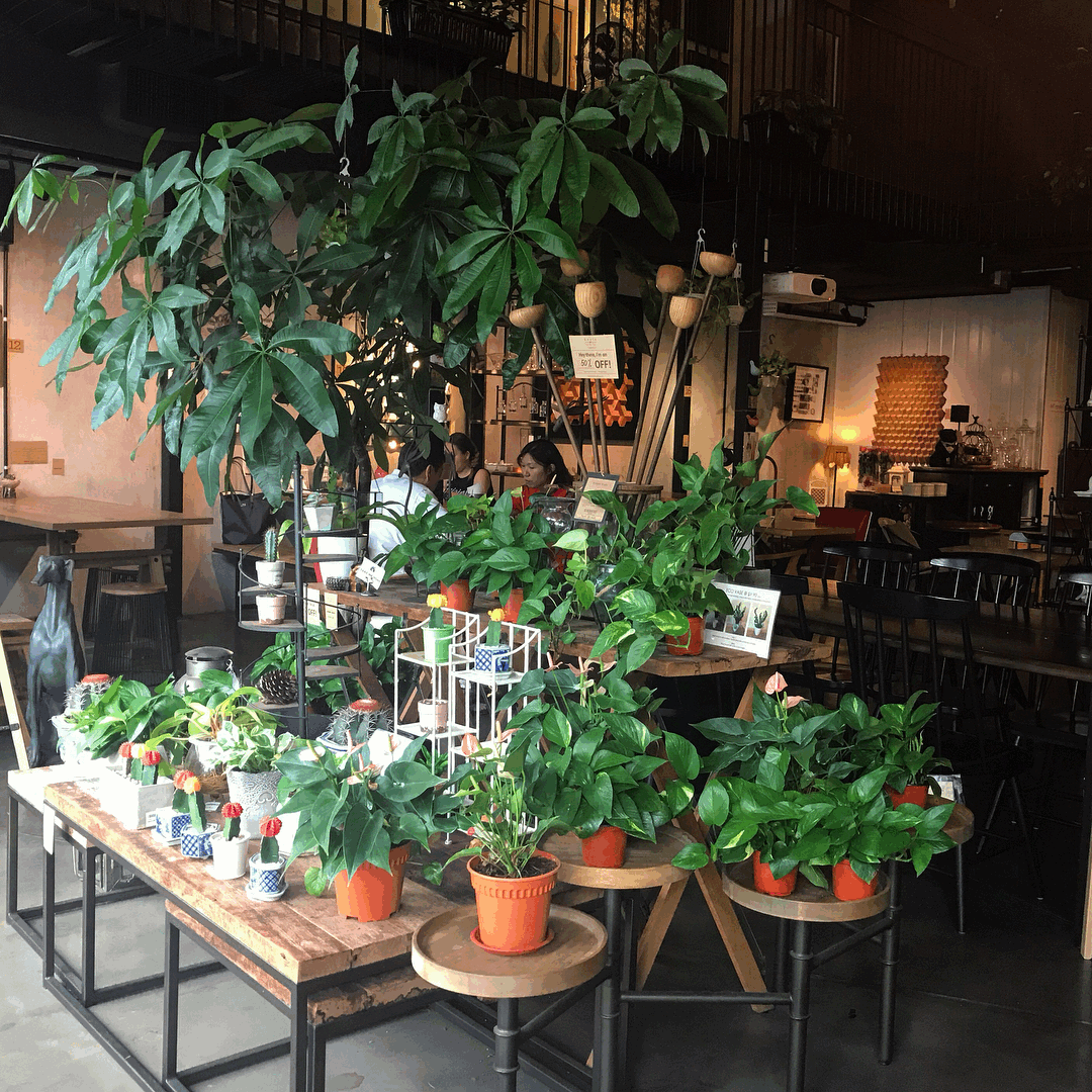 7 GardenThemed Cafes In Singapore For A Dose Of Greenery In The