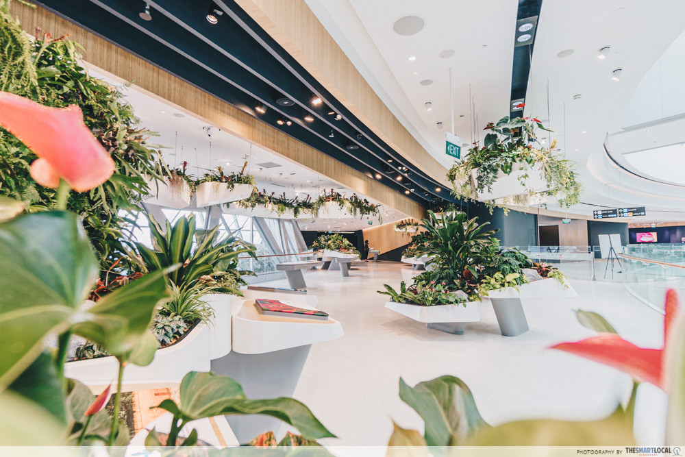 New Jewel Changi Openings In June 2019 Mirror Maze, Giant Net