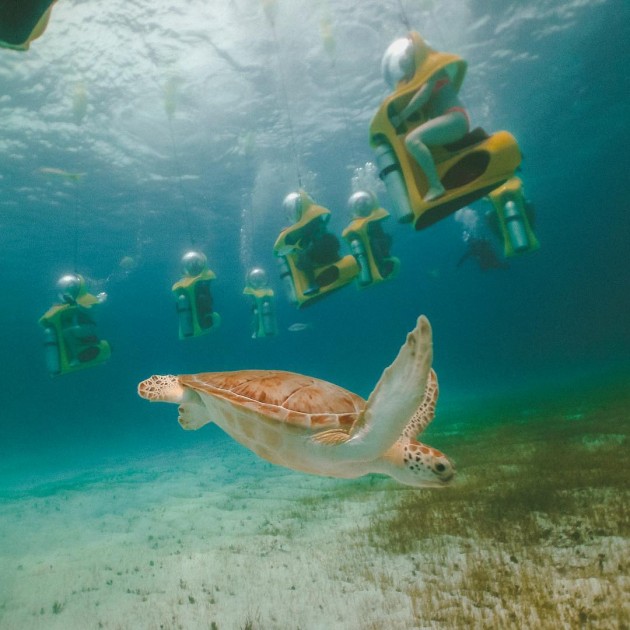 underwater scooters balli cebu sea turtle 