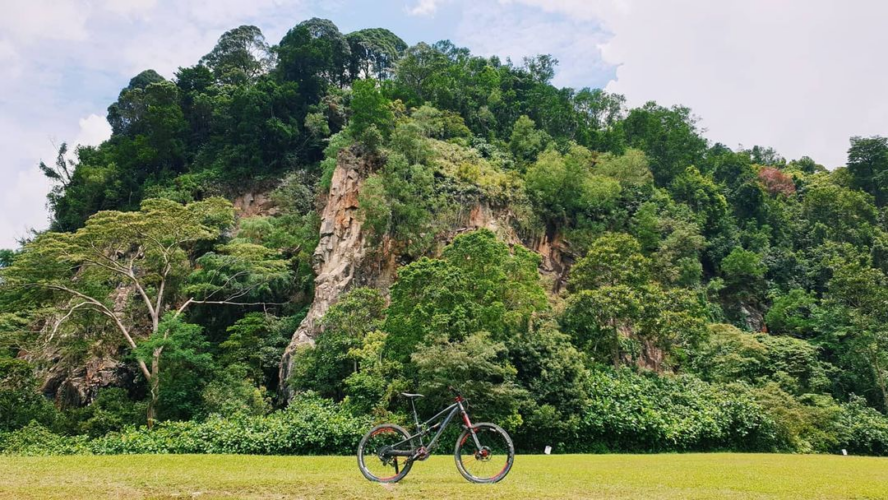 Bukit Timah Nature Reserve Guide Quarries Playgrounds And Wildlife