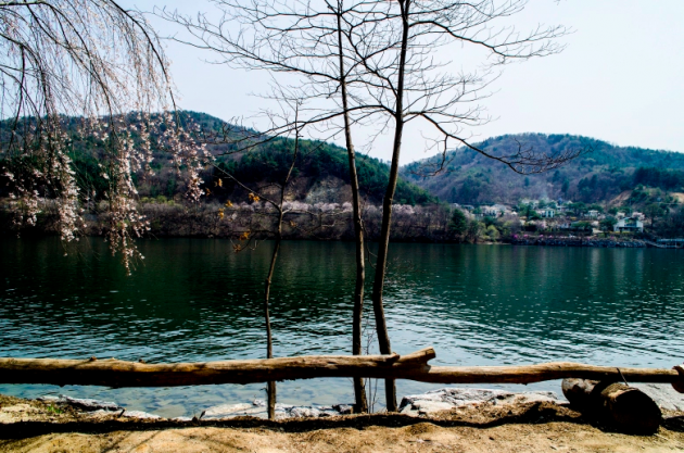 The Smart Local - Namiseom island lake view