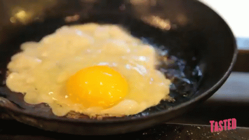 Image result for frying egg on skin