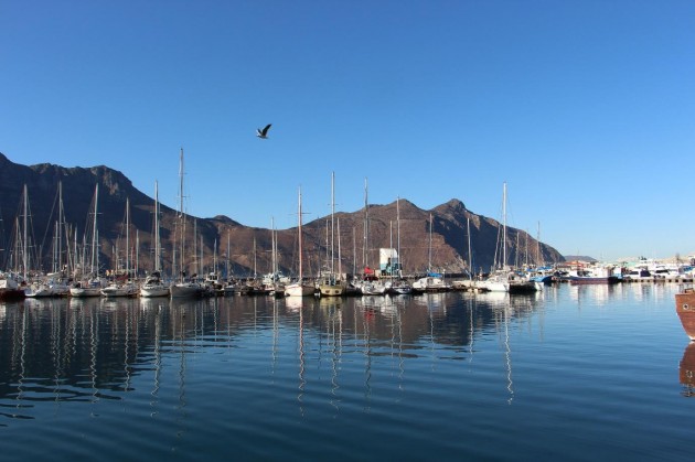 Boats at Hout Bay Harbour 