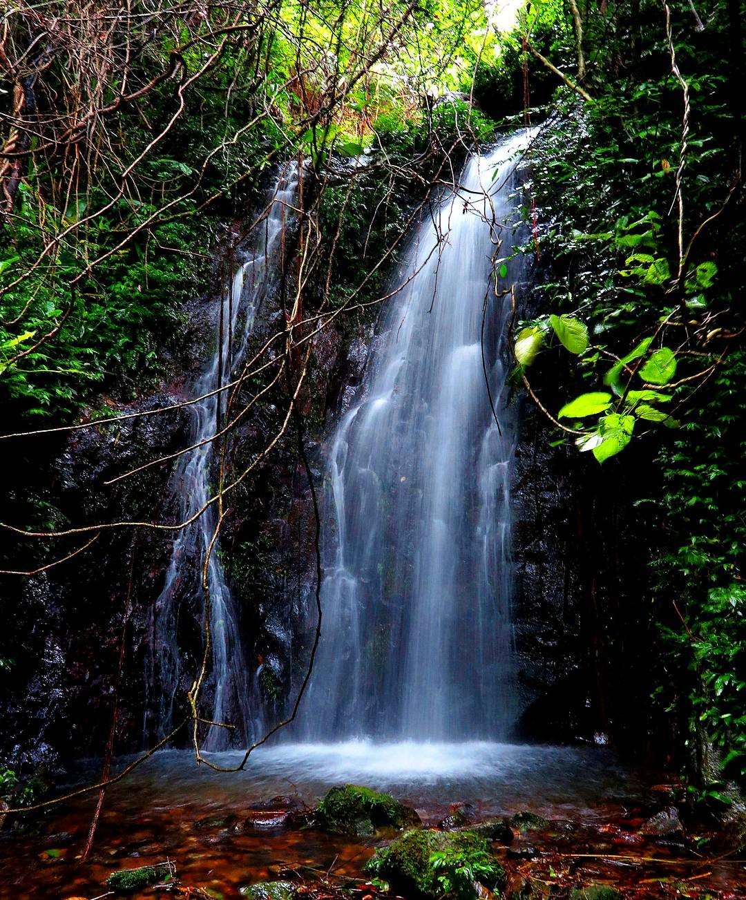 Waterfalls on Tai Mo Shan
