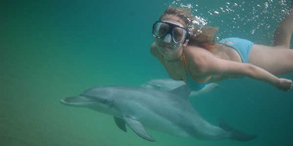 Bunbury Swim with Dolphins