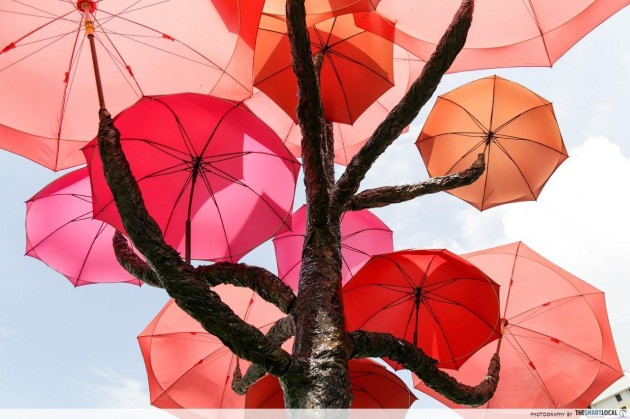 umbrella trees 