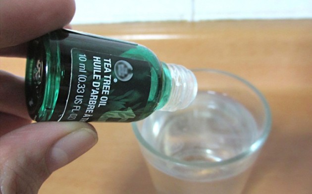 Tea tree oil to clear sinus congestion