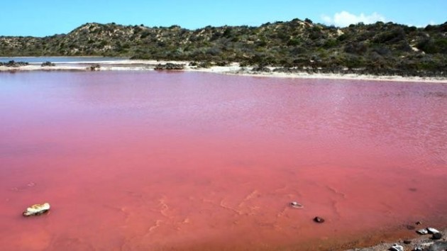 pink lake tailem bend