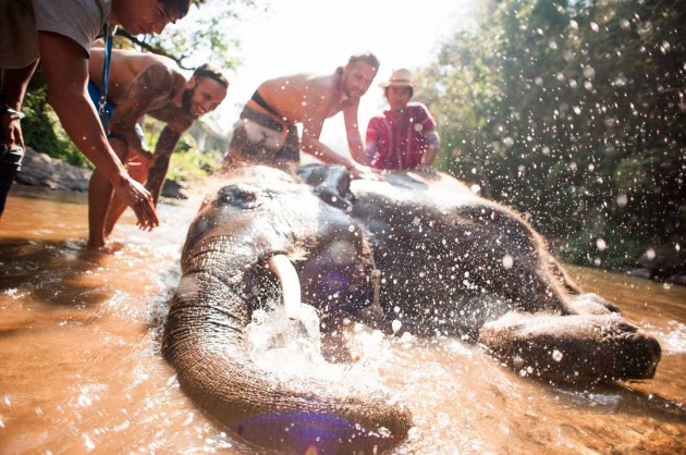 riding elephants Thailand