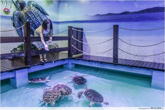 Shore Oceanarium Malacca Sea Turtles