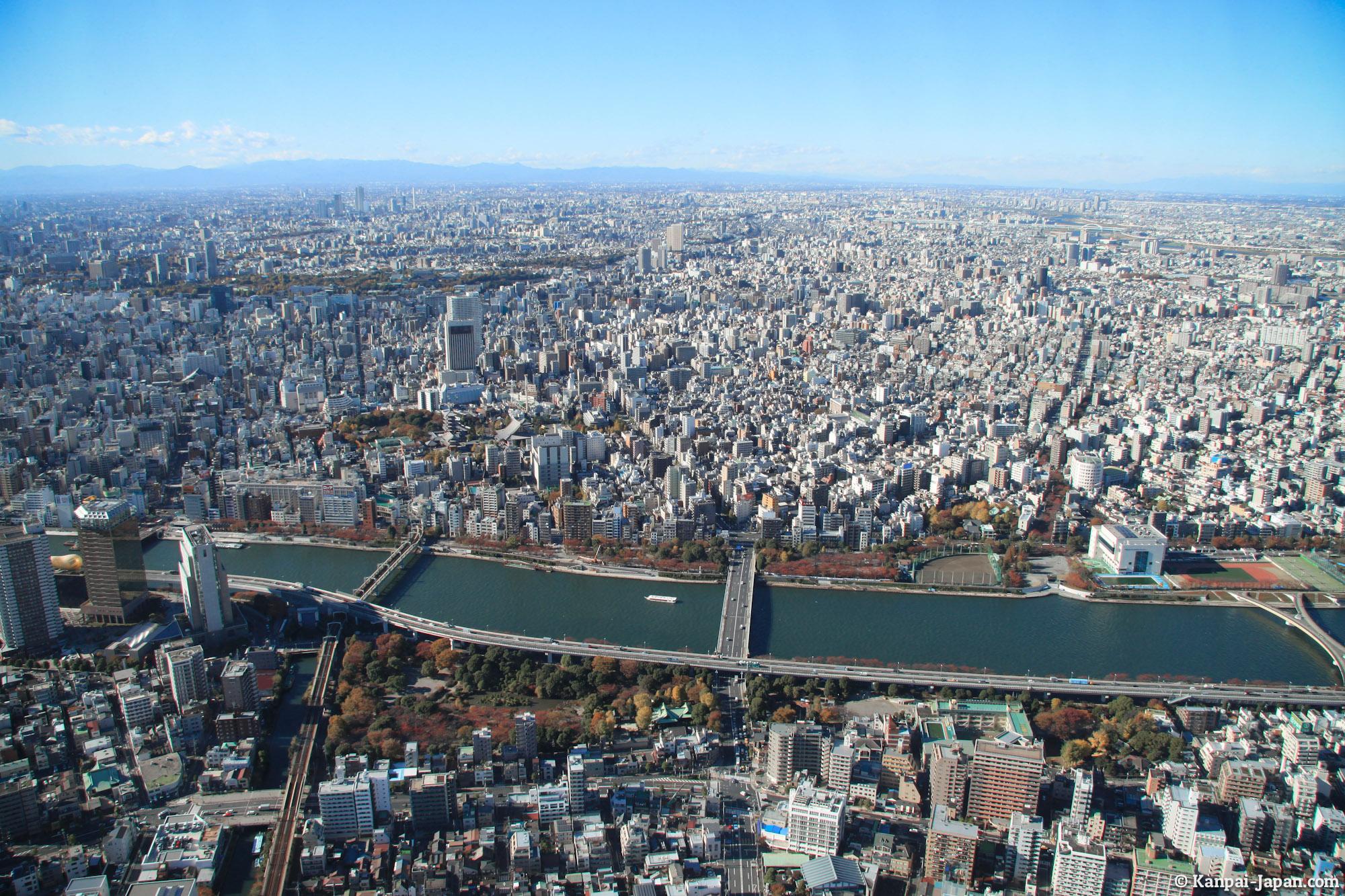 Activities in Tokyo thesmartlocal