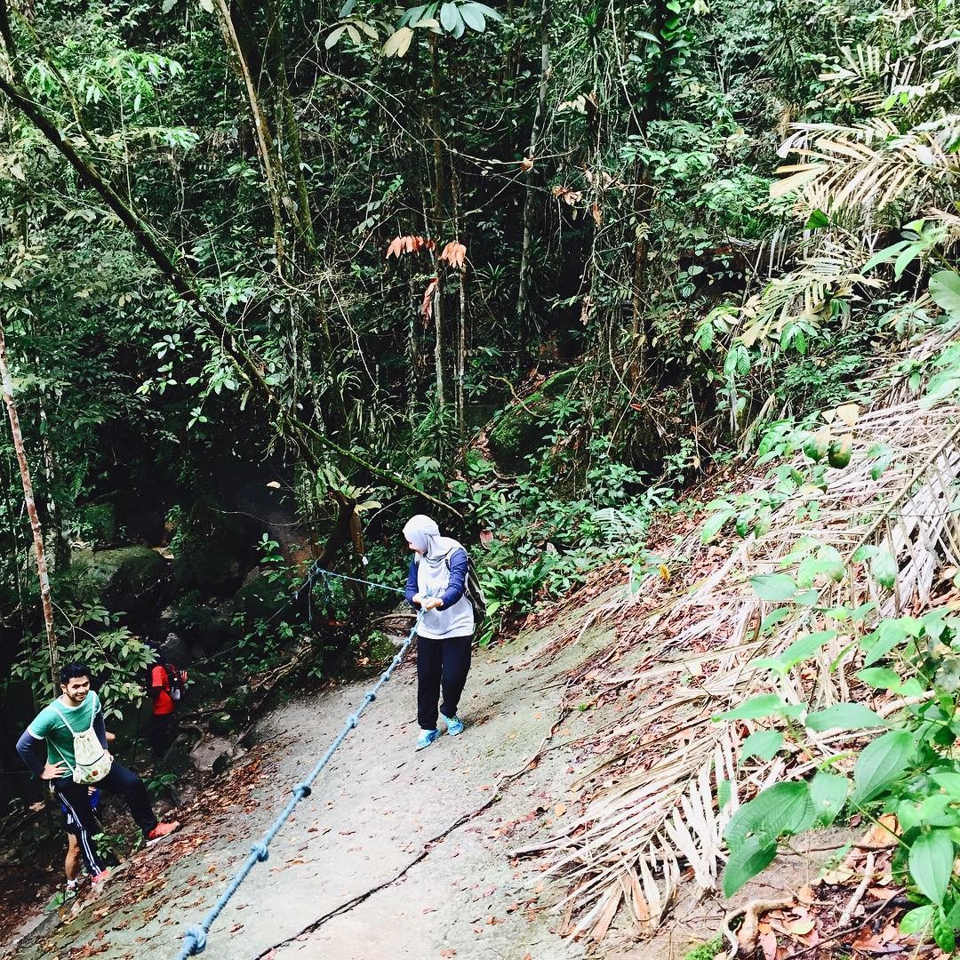 Hiking trails perak selangor thesmartlocal