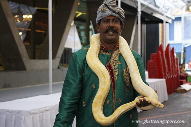 Singapore Snake Charmer