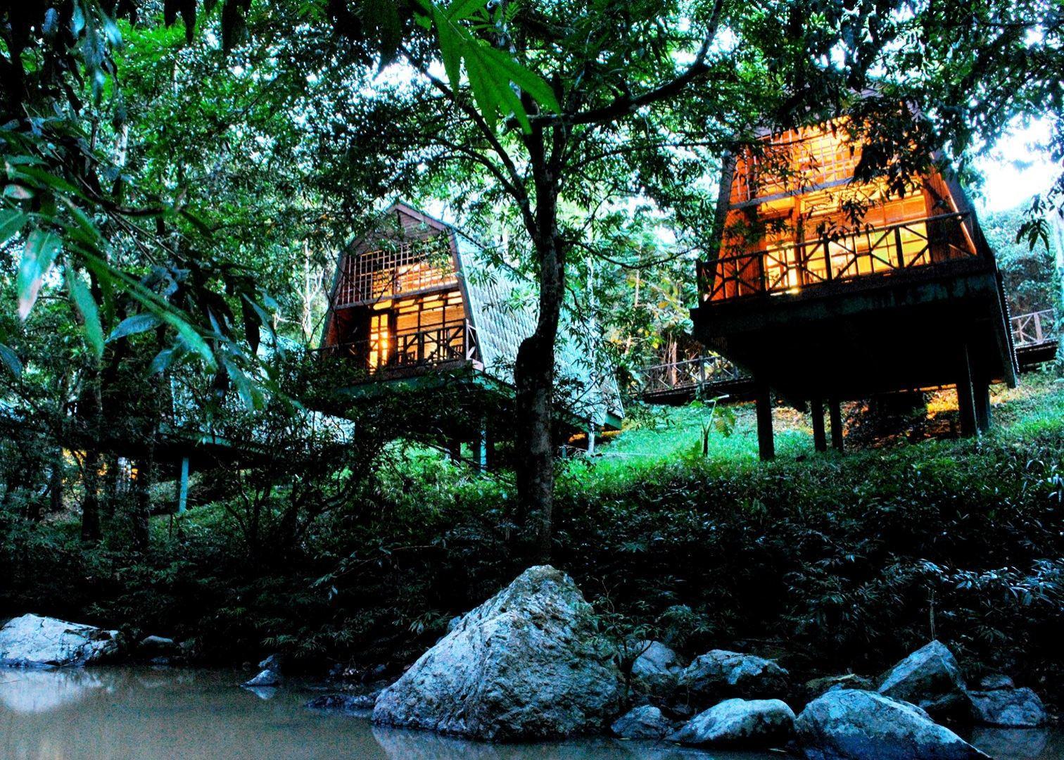 10 Amazing Rainforest Hotels In Malaysia Treehouses Pipe Capsules 56160 ...