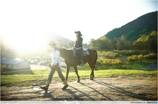 Hokkaido horse riding