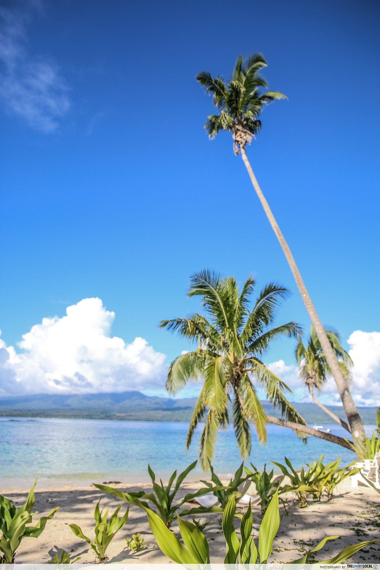 Nadi, Taveuni, Fiji, resort, planning first trip to Fiji