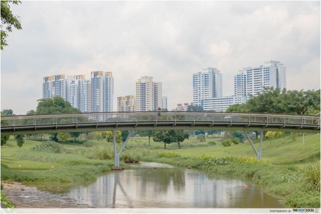 Quirky bridges Singapore Bishan AMK Park