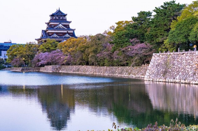 hiroshima castle cherry blossom sakura