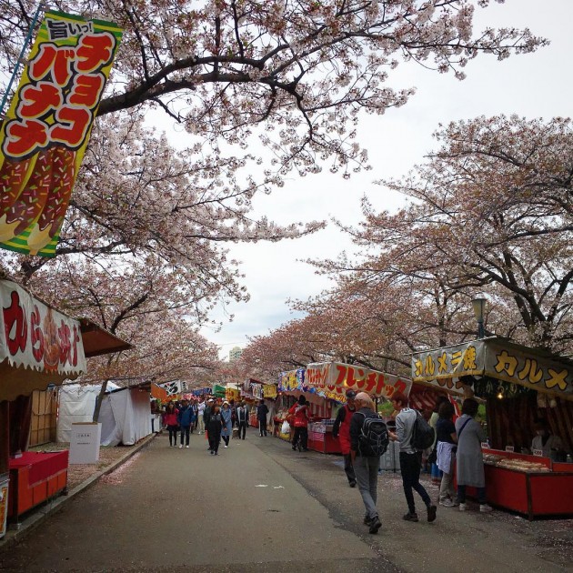 osaka japan mint bureau sakura cherry blossom