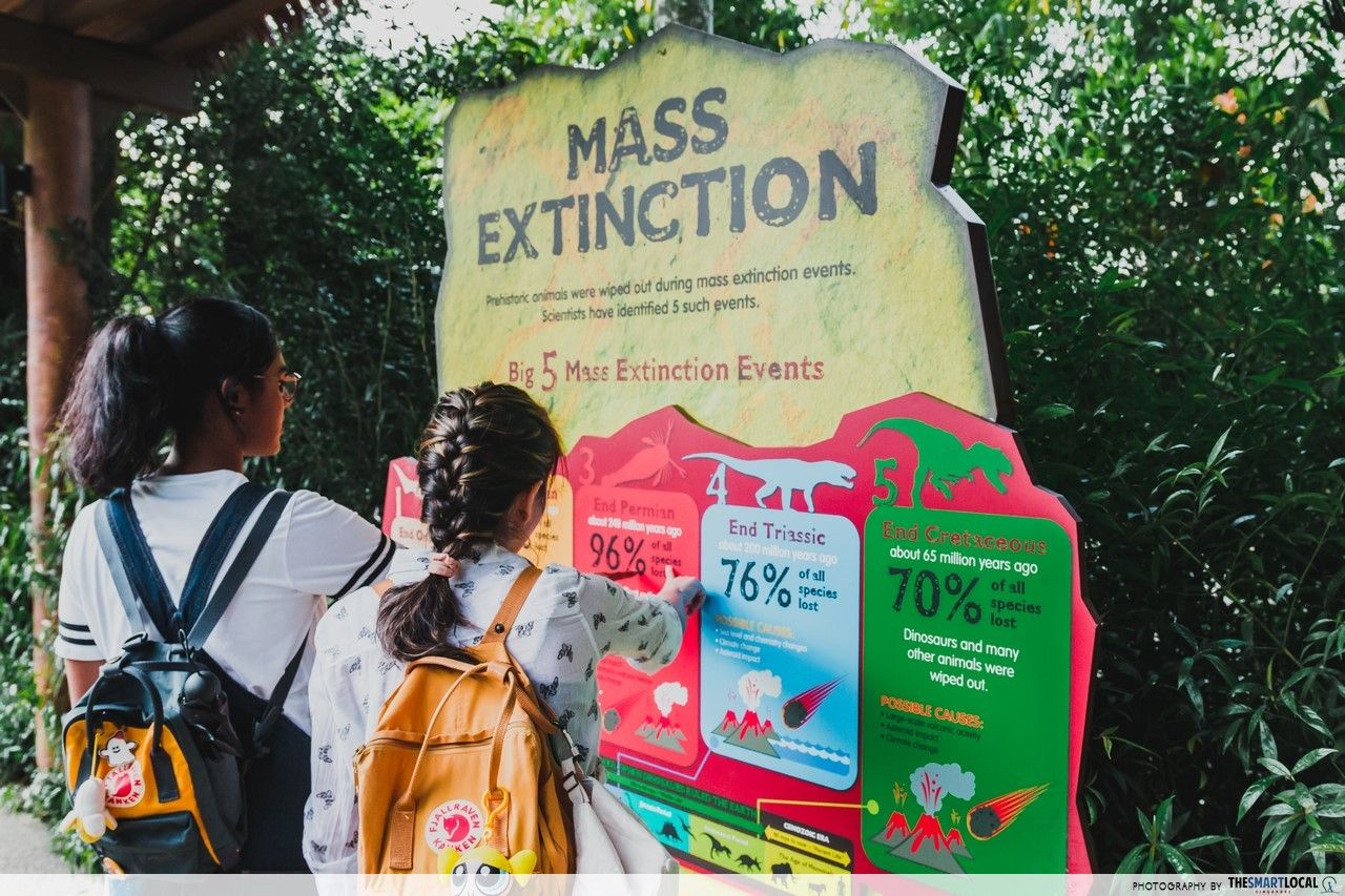 Singaore Zoo, Mass Extinction Awareness Campaign