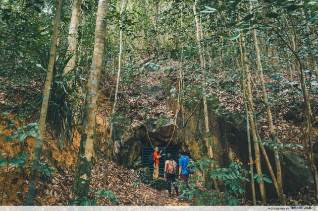 bukit timah nature reserve trail cave path