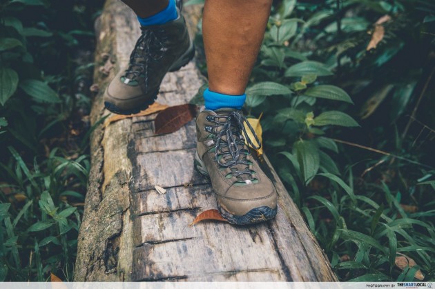 chestnut nature park vasque performance hiking shoes boots singapore