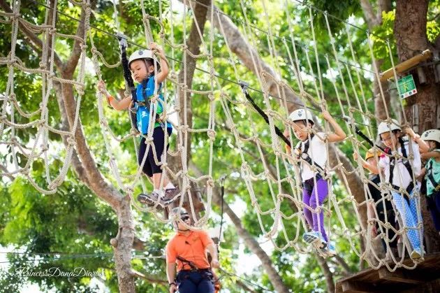 Kids Course at Forest Adventure