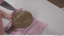 empty durian fail