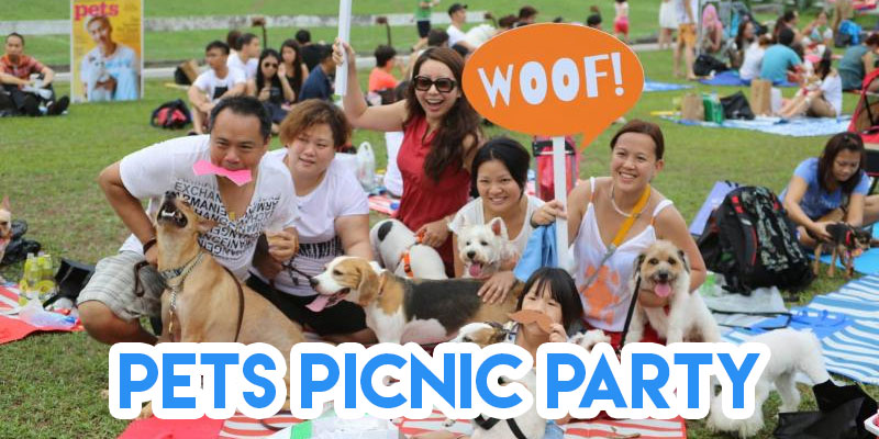 pets picnic party