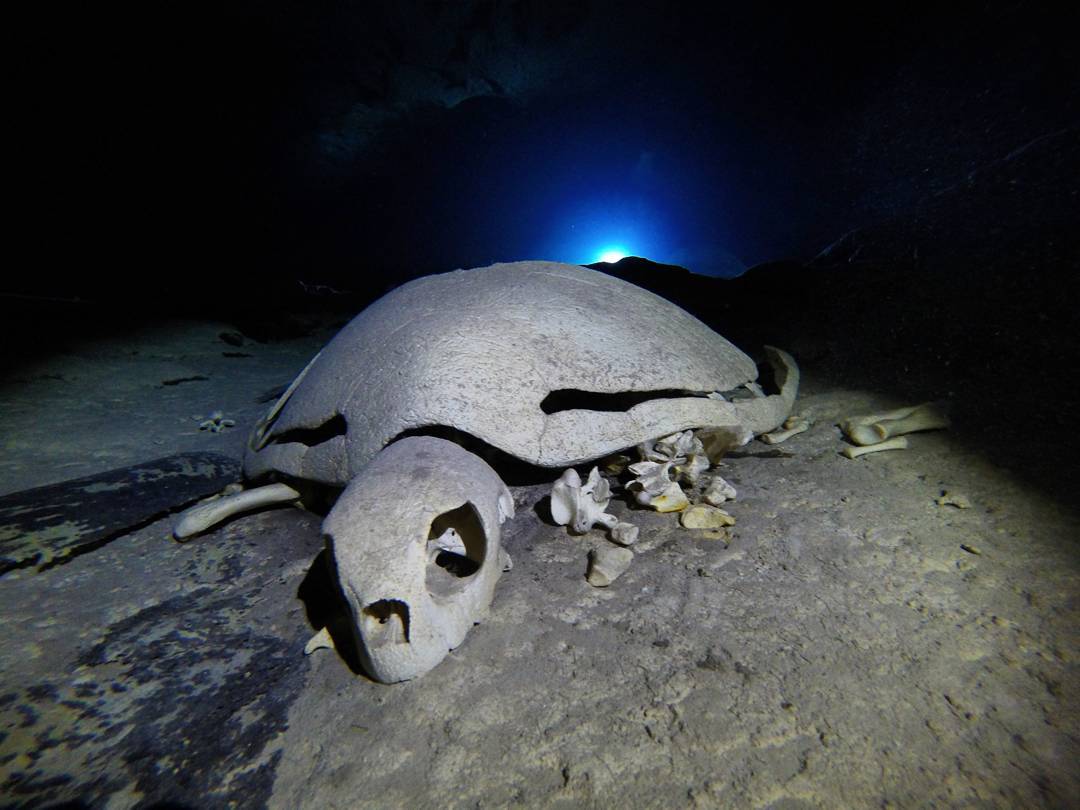 sipadan turtle tomb malaysia