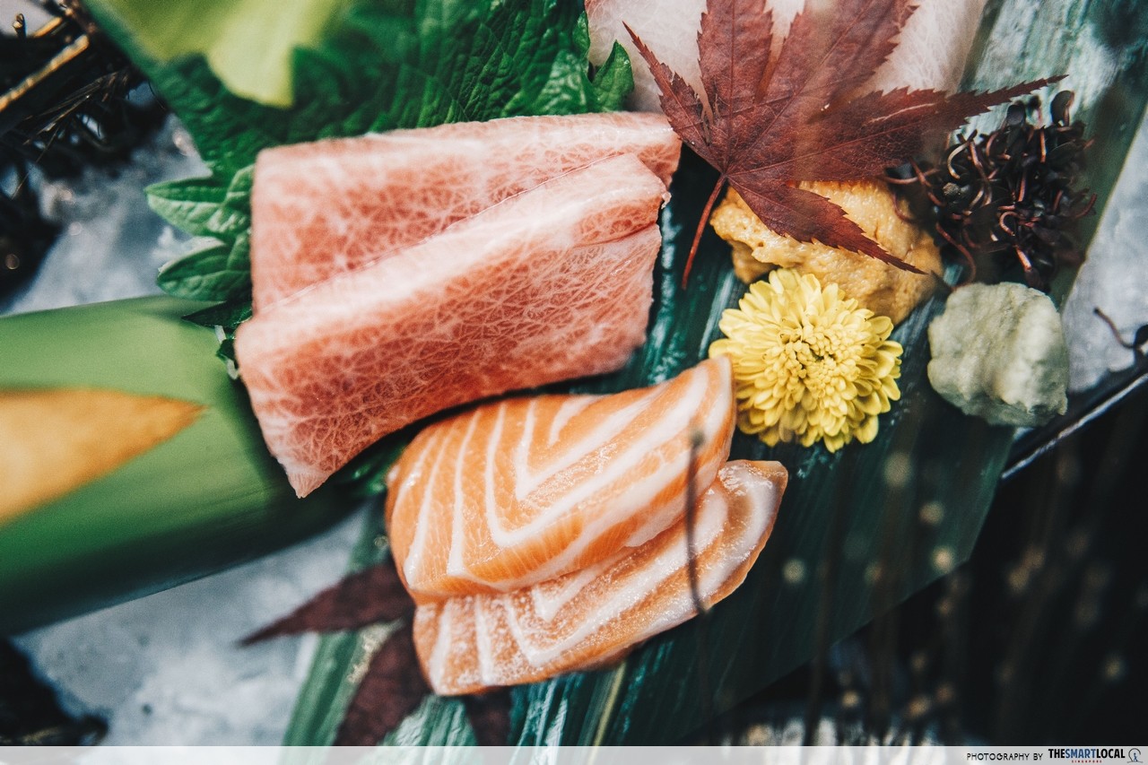 mikuni salmon otoro sashimi 