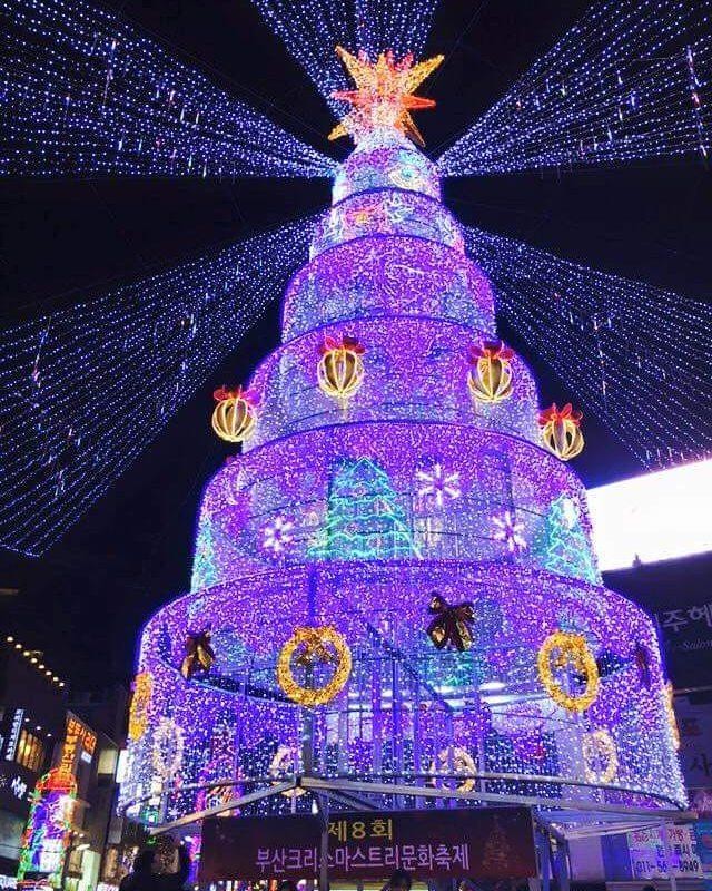 Busan Christmas Tree Festival 