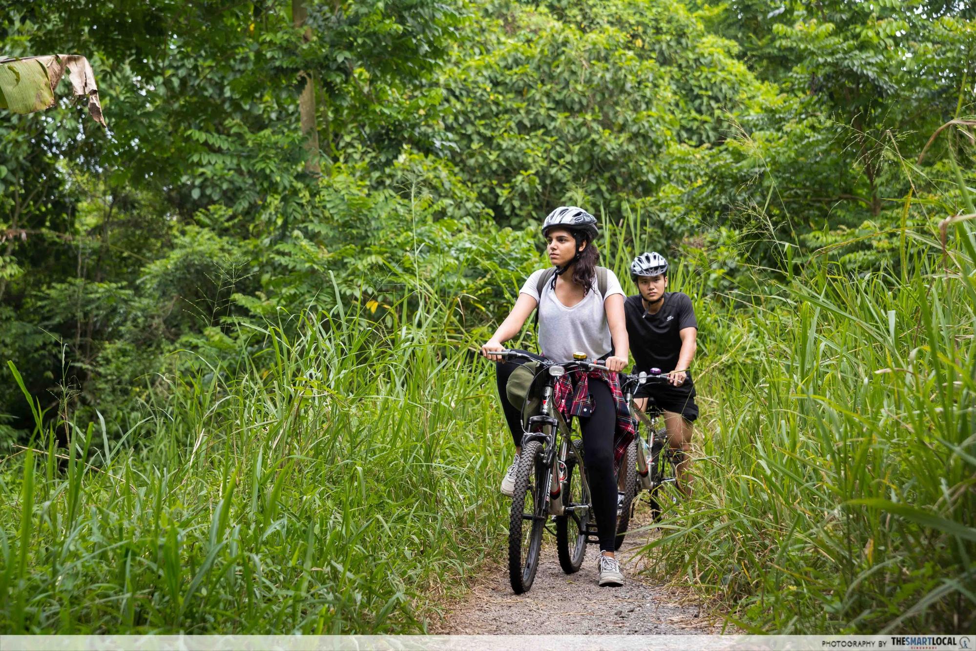 Obscure cycling trails in Singapore (12) - Mandai Track 15