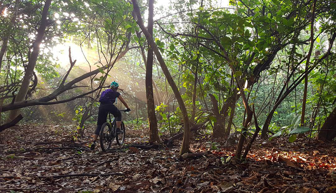Obscure cycling trails in Singapore (14) - Kent Ridge Park