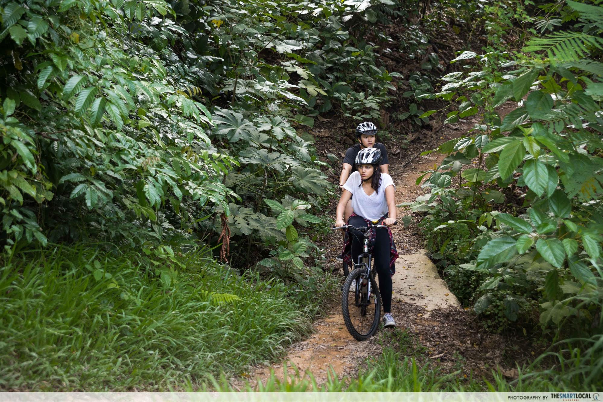 Obscure cycling trails in Singapore (8) - Chestnut Nature Park Trail