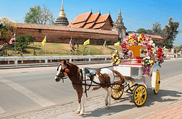 Cold places in Southeast Asia Thailand Lampang horse carriages