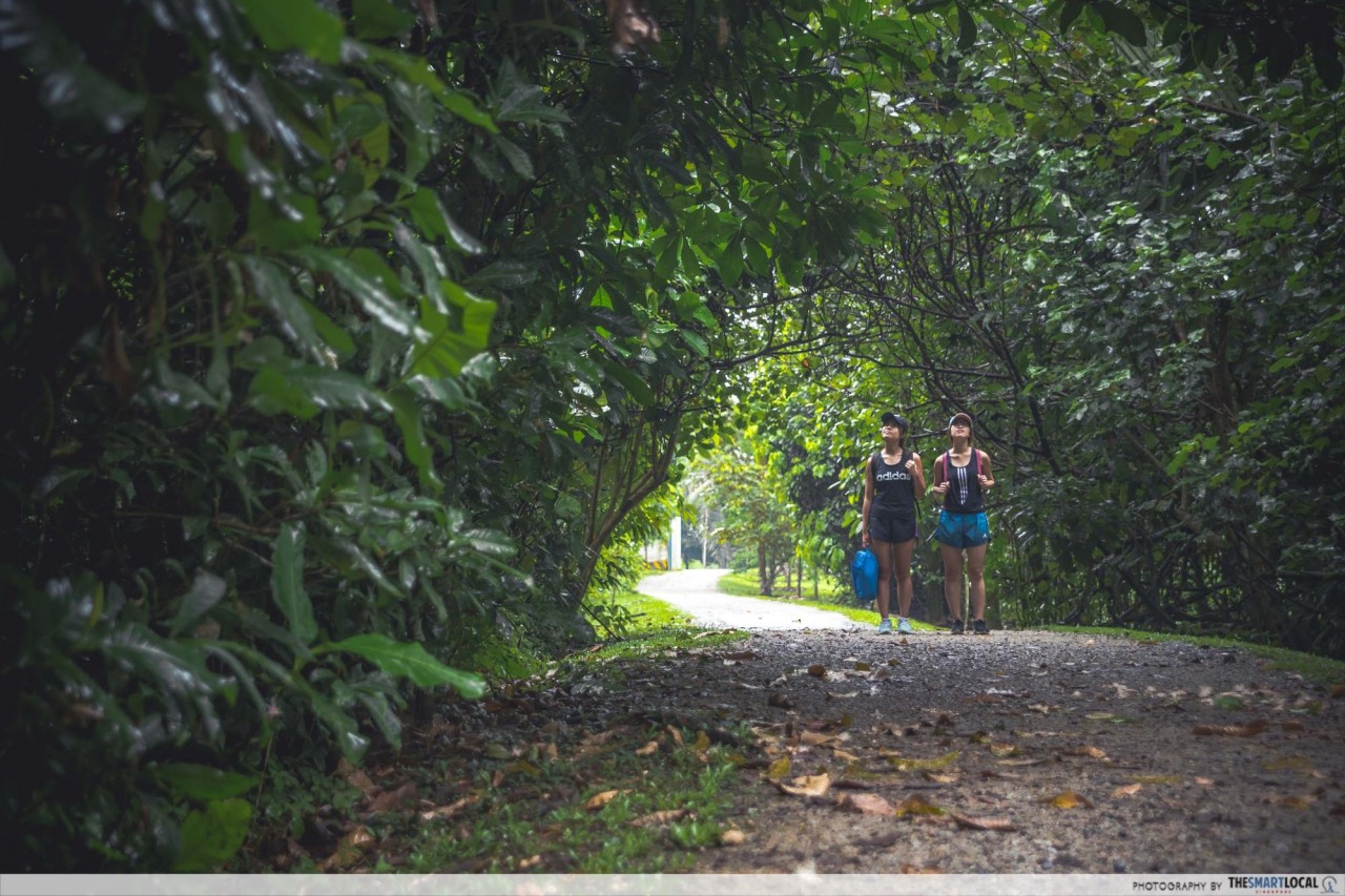 Walking trails in Singapore to get active