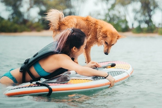 Stand up paddleboarding with dog