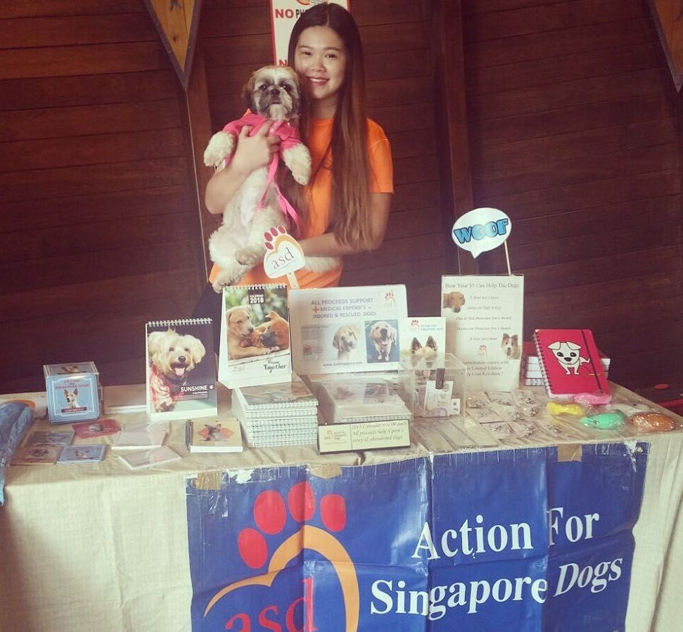 Action for Singapore Dogs