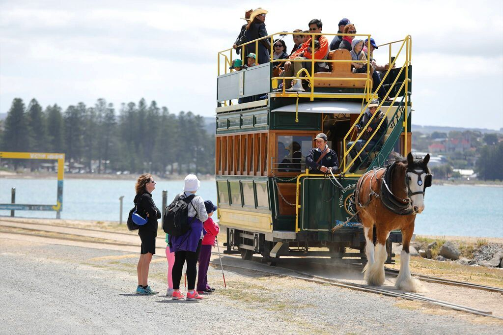 Granite Island - Horse Tram