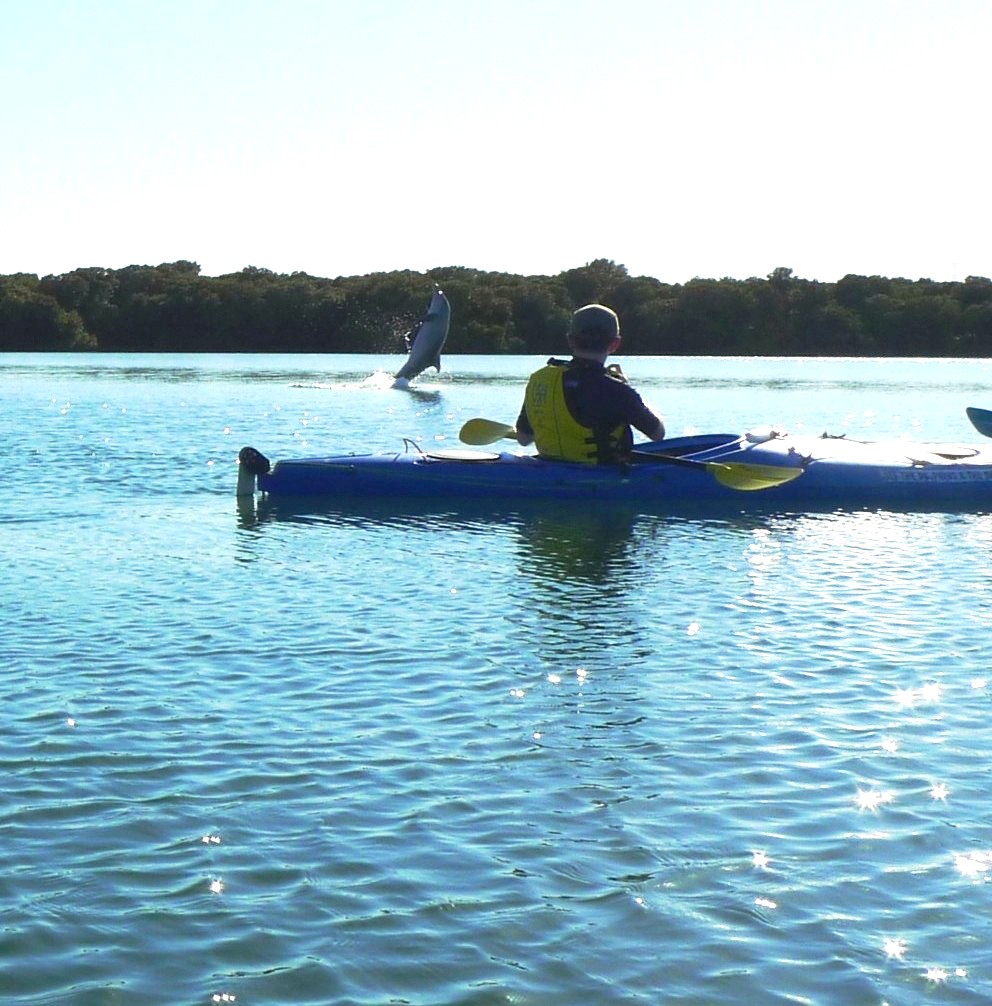Port Adelaide River - Kayaking