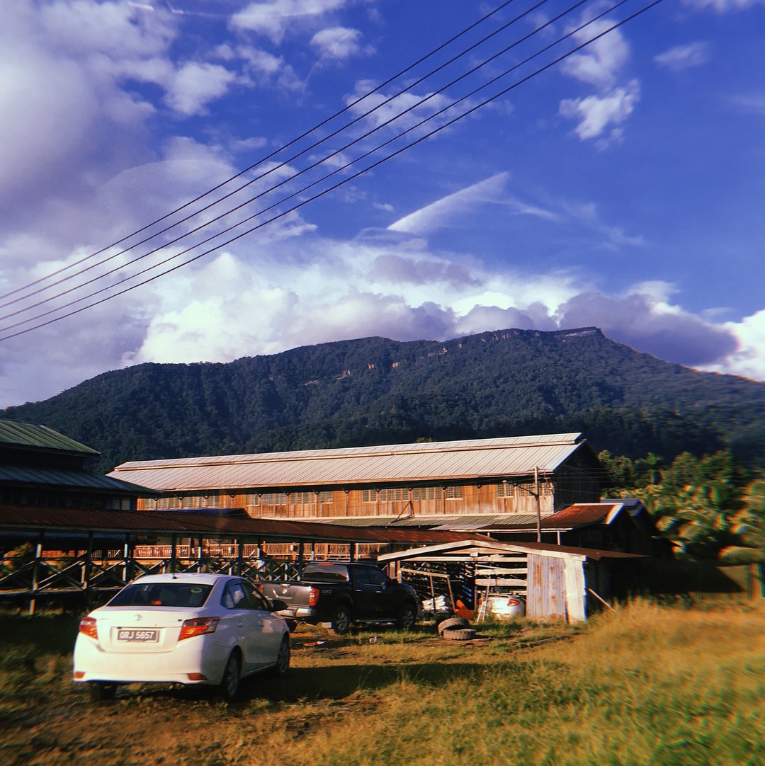 Bintulu - longhouse