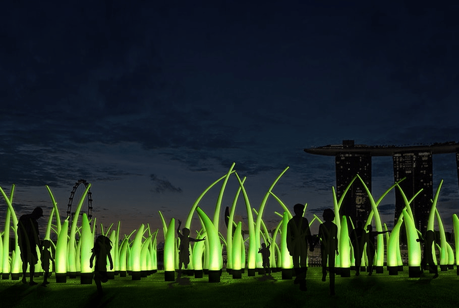 Things to do in march - ilight grass installation