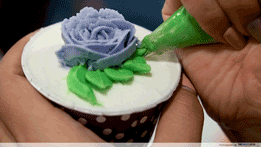 decorating cupcake