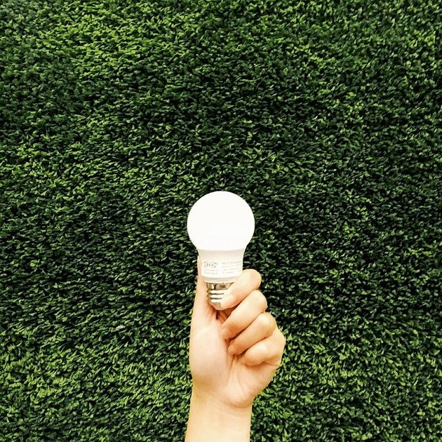 LED lightbulbs save electricity