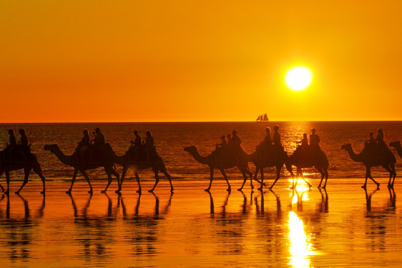 sunset camel ride at cable beach in broome