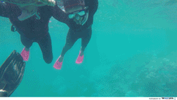 GoPro Hero - Underwater