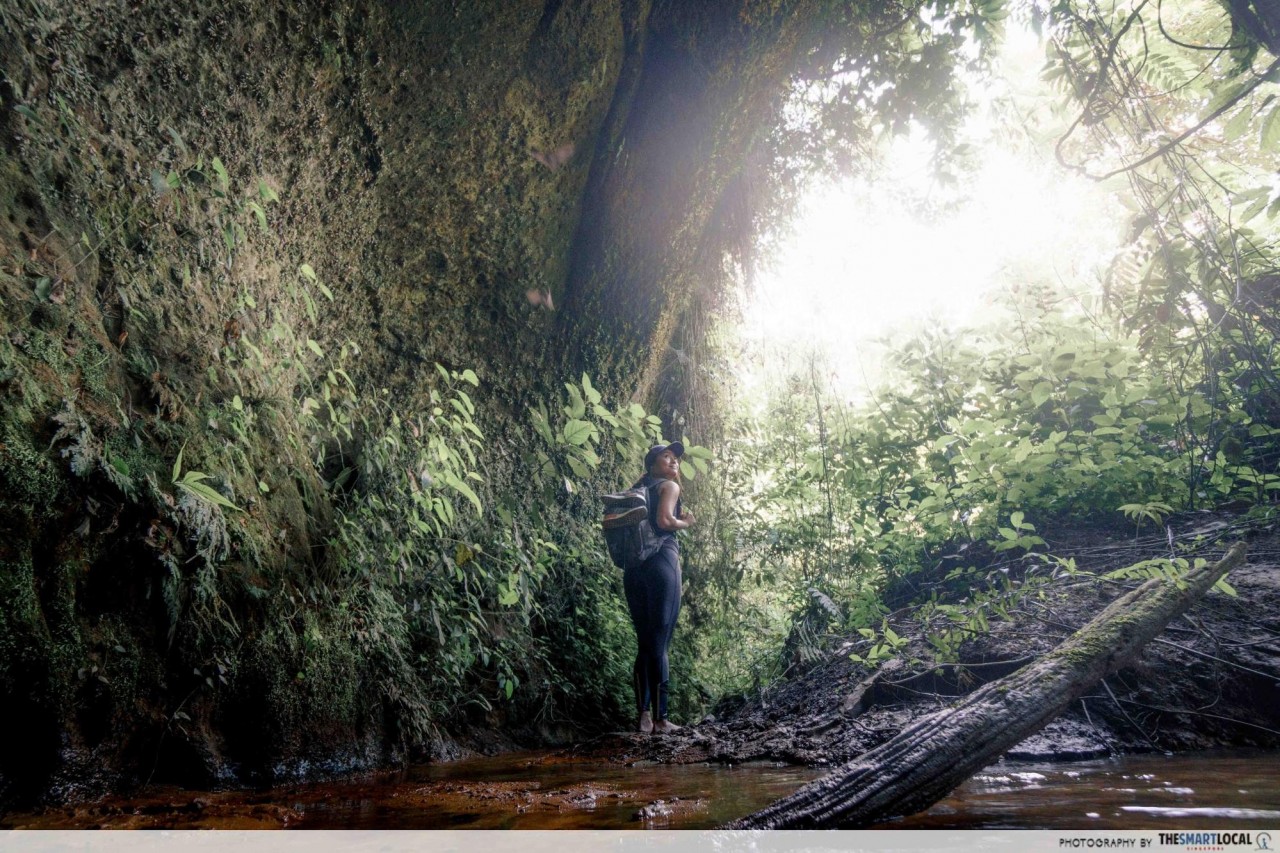 pekanbaru riau indoneisia bat caves