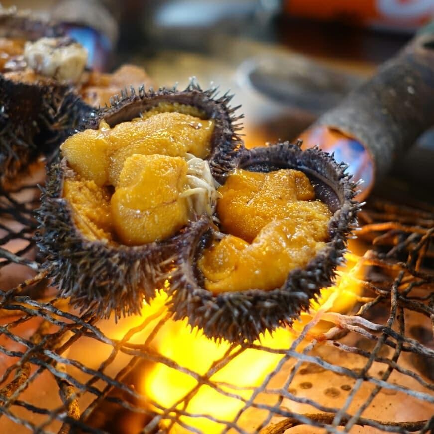 Hokkaido Fish Market - sea urchin
