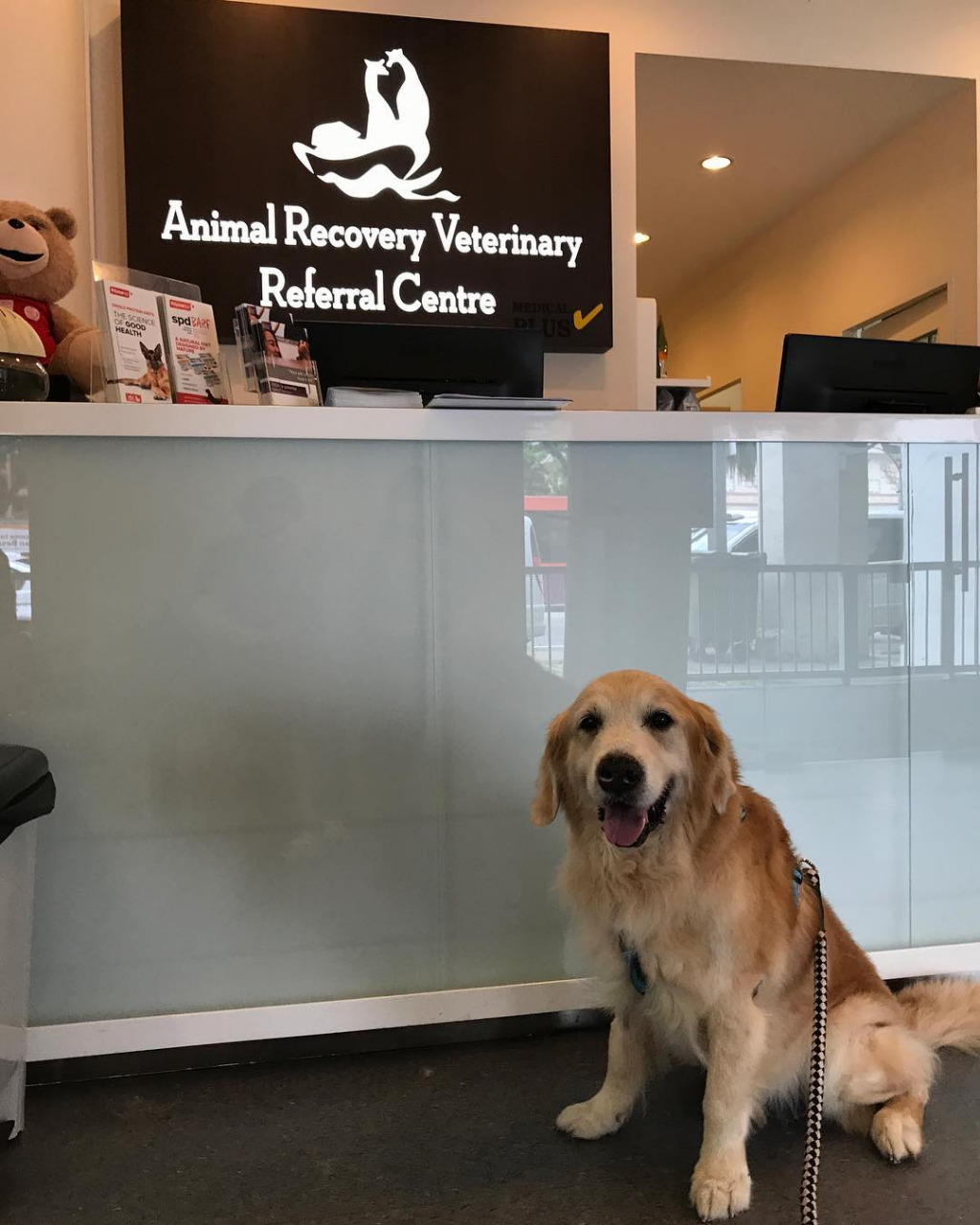 Animal recovery veterinary referral center